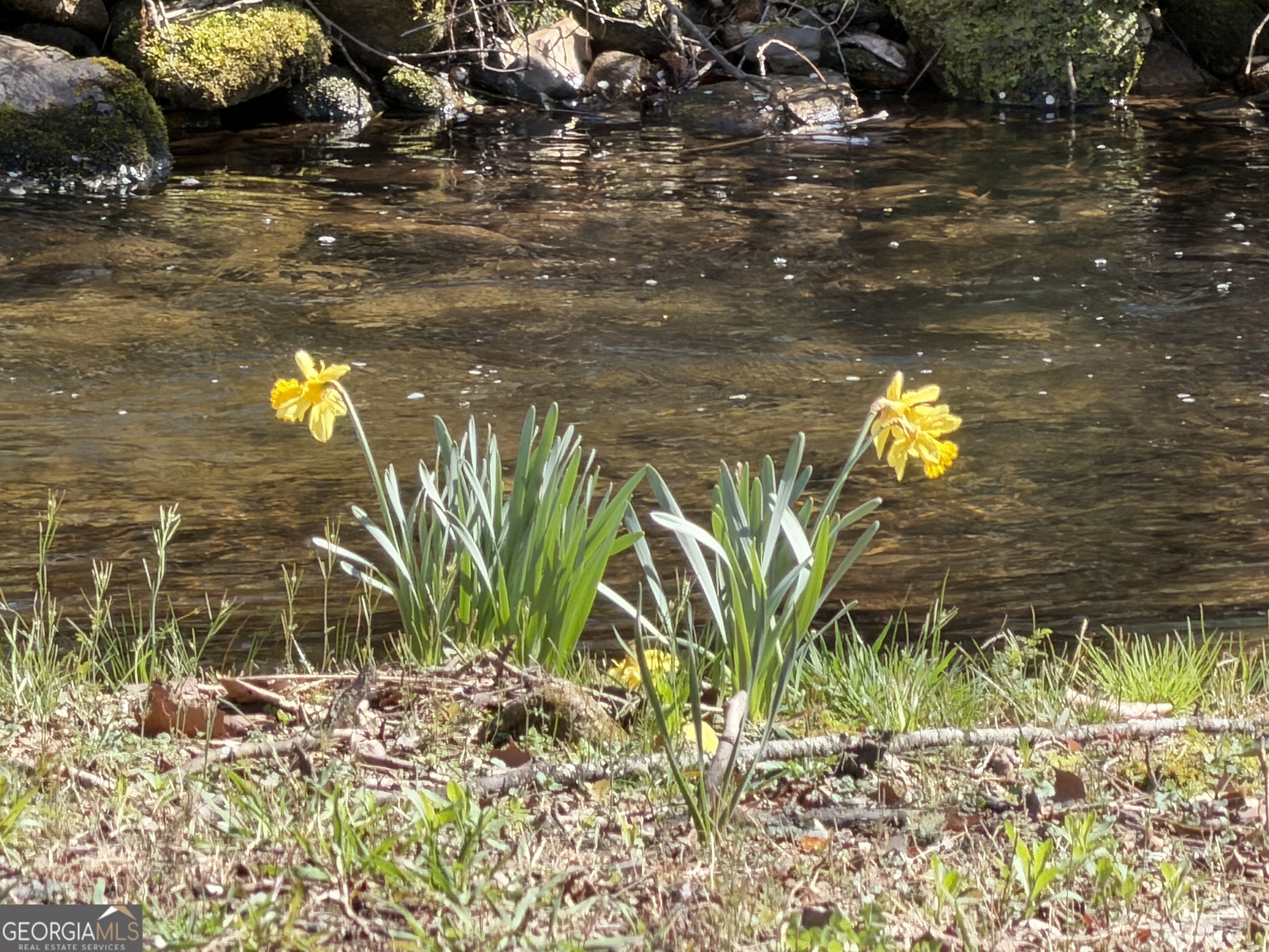 1162 Blacks Creek DR