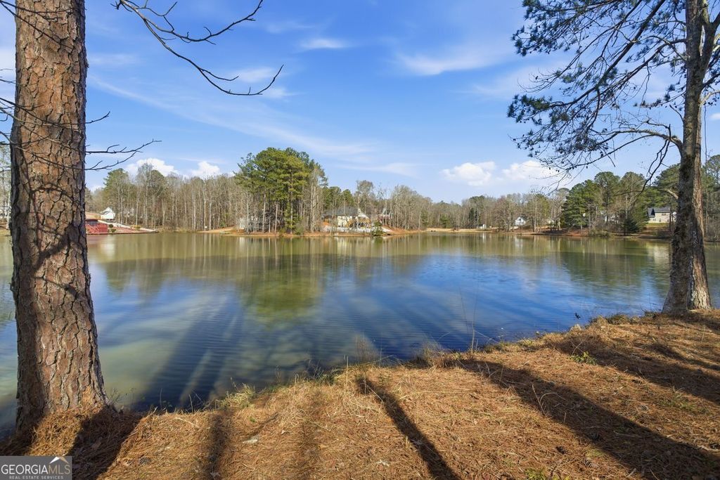 Photo of 290 The Falls Boulevard, Covington, GA 30016 (MLS # 10704566)