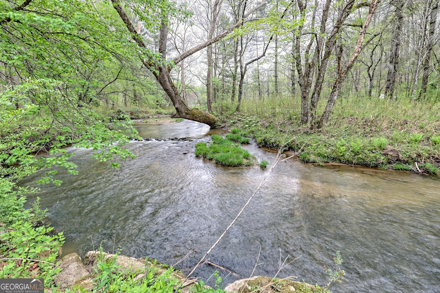 Otto, North Carolina 28763, United States, 3 Bedrooms Bedrooms, ,3 BathroomsBathrooms,Residential,Active,93893