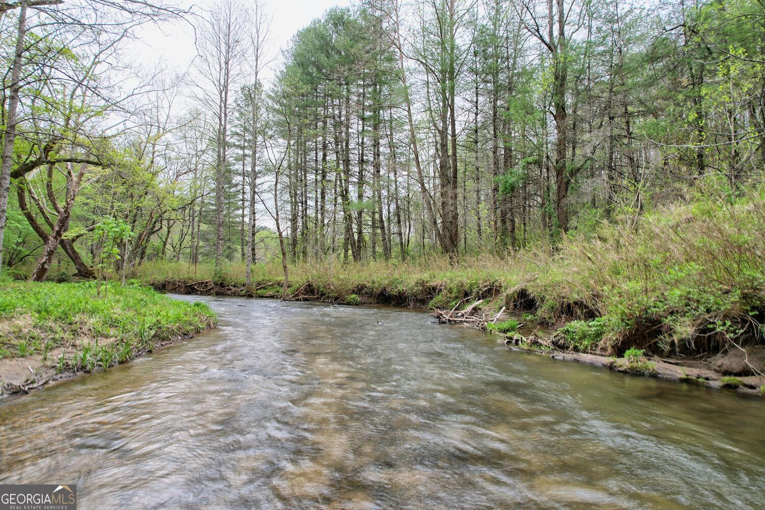 Otto, North Carolina 28763, United States, 3 Bedrooms Bedrooms, ,3 BathroomsBathrooms,Residential,Active,93893