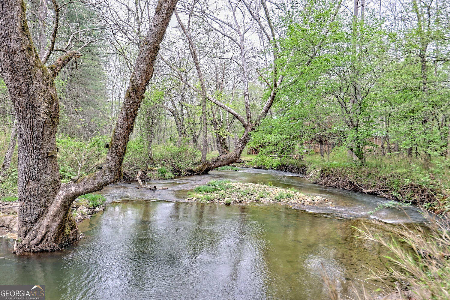 Otto, North Carolina 28763, United States, 3 Bedrooms Bedrooms, ,3 BathroomsBathrooms,Residential,Active,93893