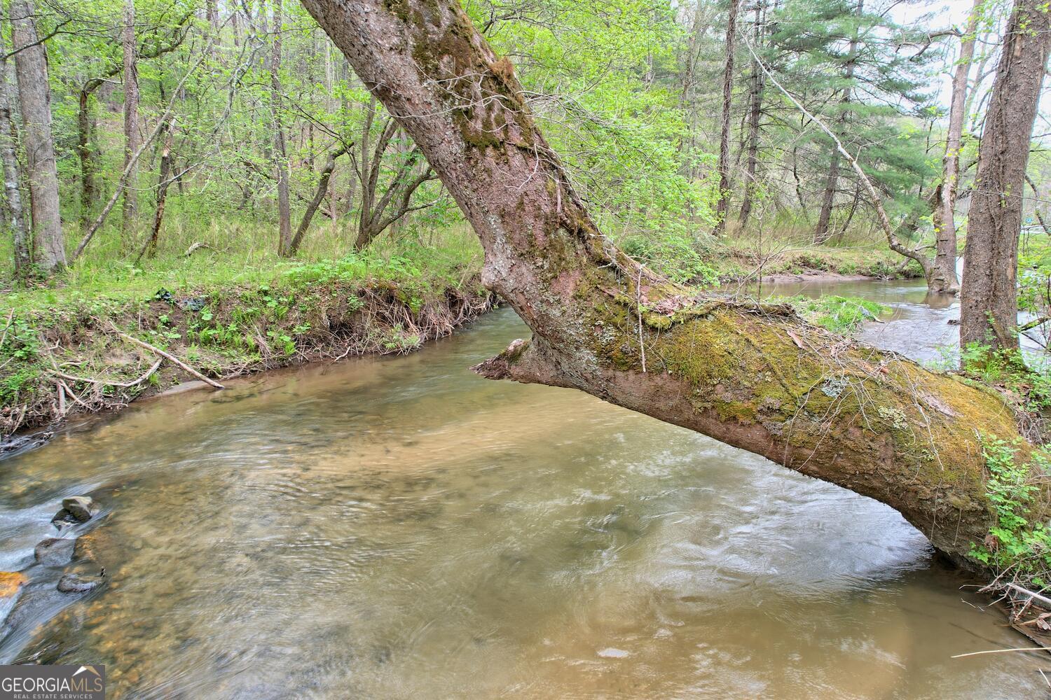 Otto, North Carolina 28763, United States, 3 Bedrooms Bedrooms, ,3 BathroomsBathrooms,Residential,Active,93893