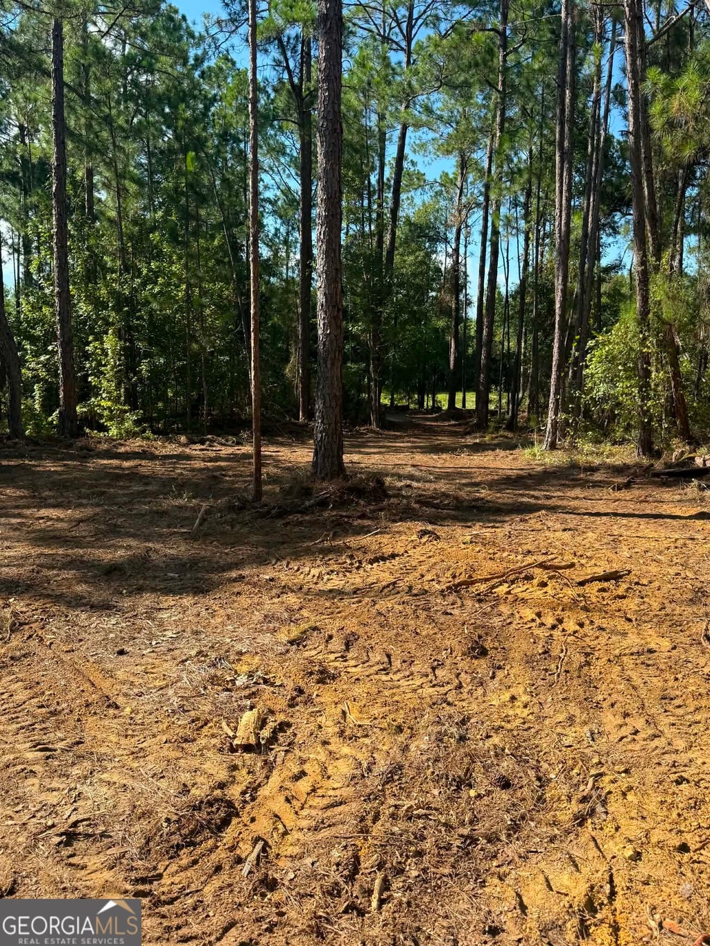Photo of 0 Fountain Road, Eastman, GA 31023 (MLS # 10836727)
