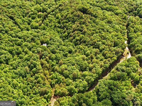 Photo of 0 Hamik Hollow Road, Cleveland, GA 30528 (MLS # 10780273)