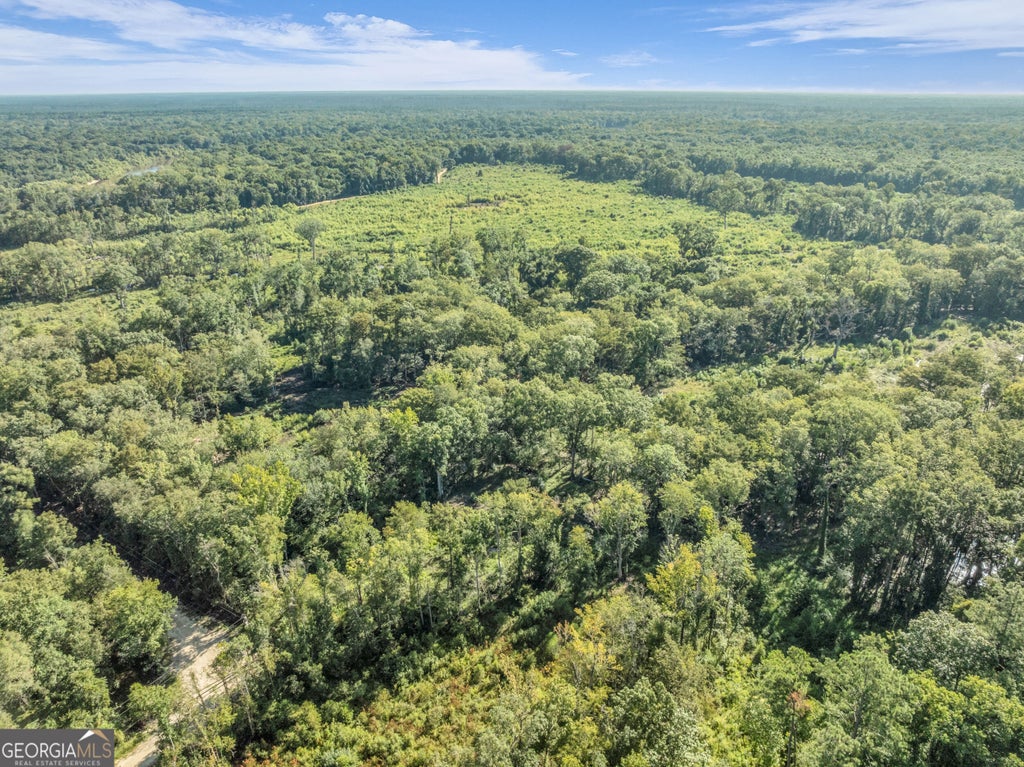Photo of 0 Brook Road, Jesup, GA 31545 (MLS # 10836881)
