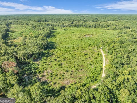 Photo of 0 Brook Road, Jesup, GA 31545 (MLS # 10836881)