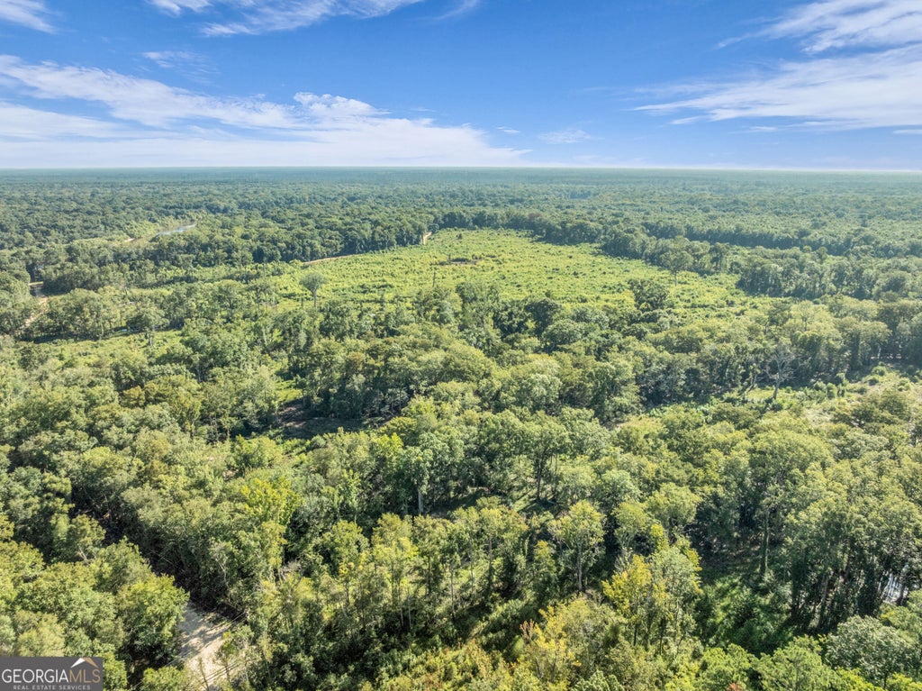 Photo of 0 Brook Road, Jesup, GA 31545 (MLS # 10836881)