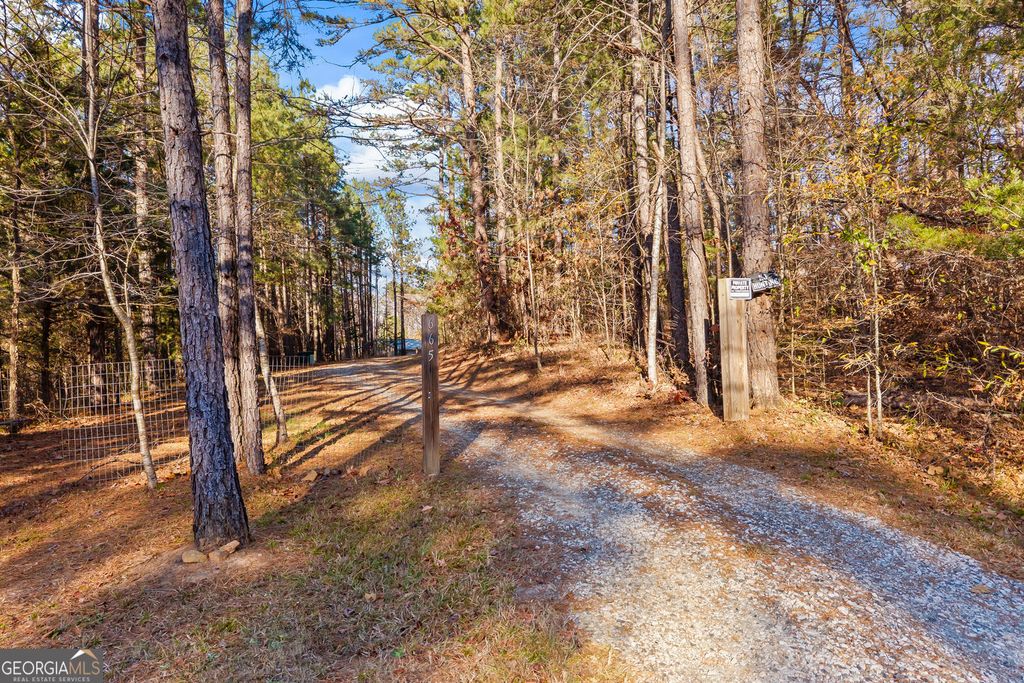 Photo of 665 N Holcomb Drive, Martin, GA 30557 (MLS # 10700066)