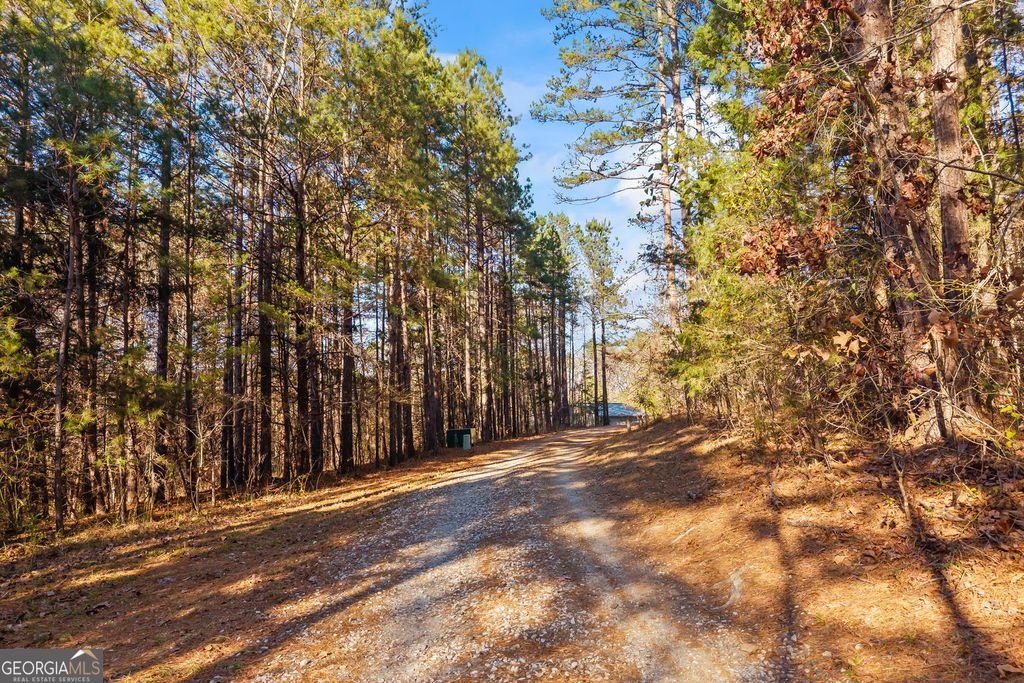 Photo of 665 N Holcomb Drive, Martin, GA 30557 (MLS # 10700066)