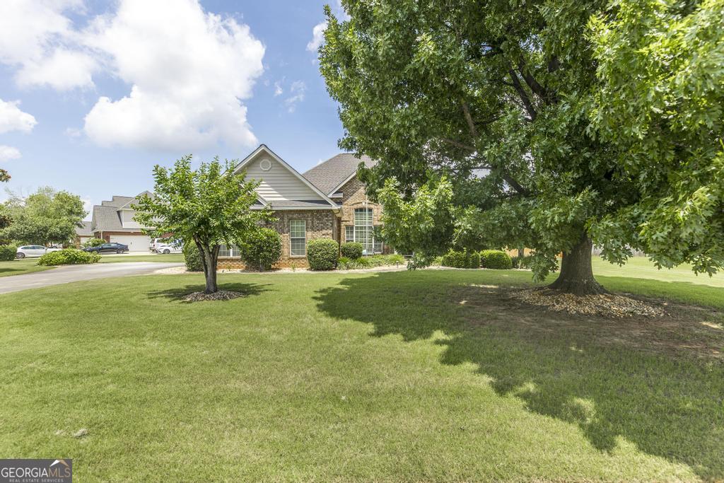 104 Rose Petal DR