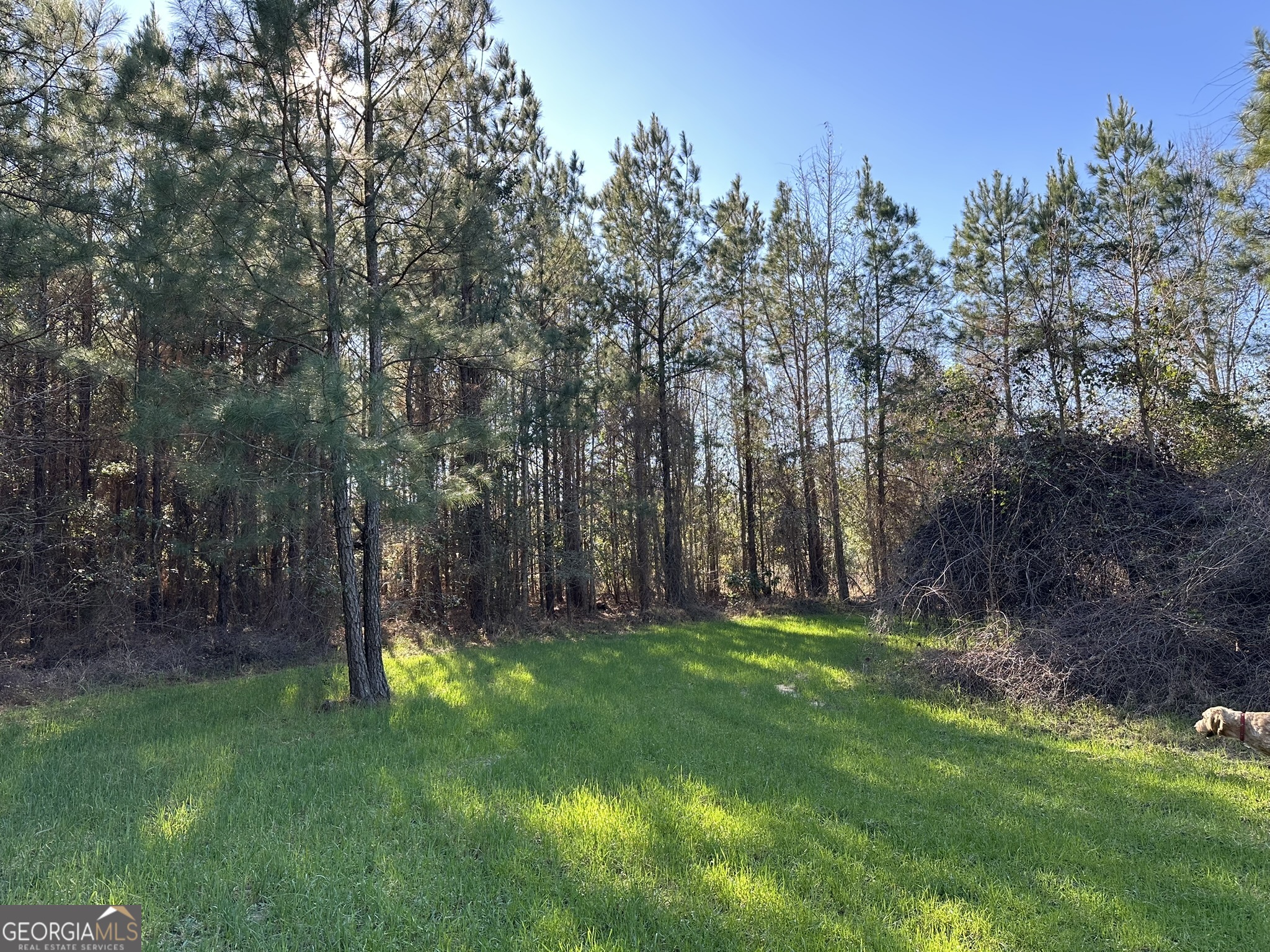 Excellent Cottonwood Hunting or Homesite Big Creek Frontage, Power Available, Paved Road Frontage Wooded Property with Mature Pine Plantation, Scattered Hardwoods, Interior Roads and Fields Close to the Quaint Town of Cottonwood, this Tract is 13-miles to Dothan, 60-miles to Panama City Beach Additional Acreage Available, Brand New Survey, Call Land Agent Sanders Walker with Questions, Agents Welcome Use GPS Coordinates 31.0104, -85.2932 for directions Henley Land has Other Tracts in Georgia and Alabama, Call For Details
