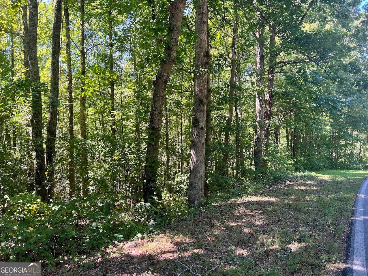 0 Old Draketown TRL (5.62 AC)