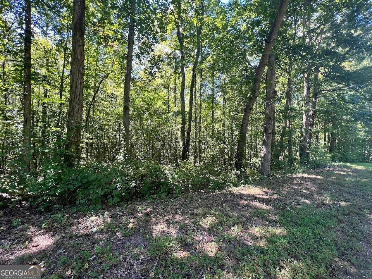 0 Old Draketown TRL (5.62 AC)