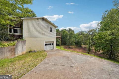 Single Family Residence in Jasper GA 161 Mountain Laurel Drive 34.jpg