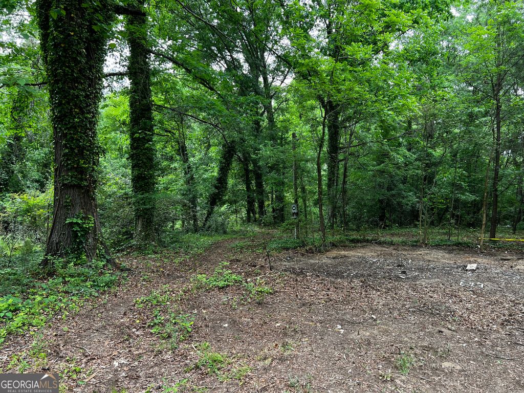 Photo of 20 Wilkerson Road SW, Rome, GA 30165 (MLS # 10757037)