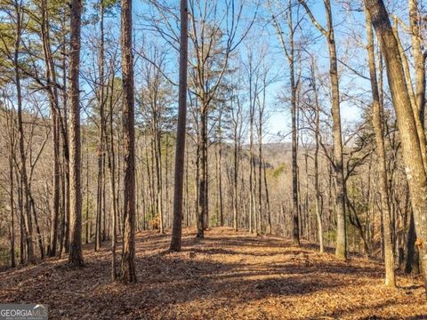 1665 Hunter DR 42 Talking Rock GA 30175