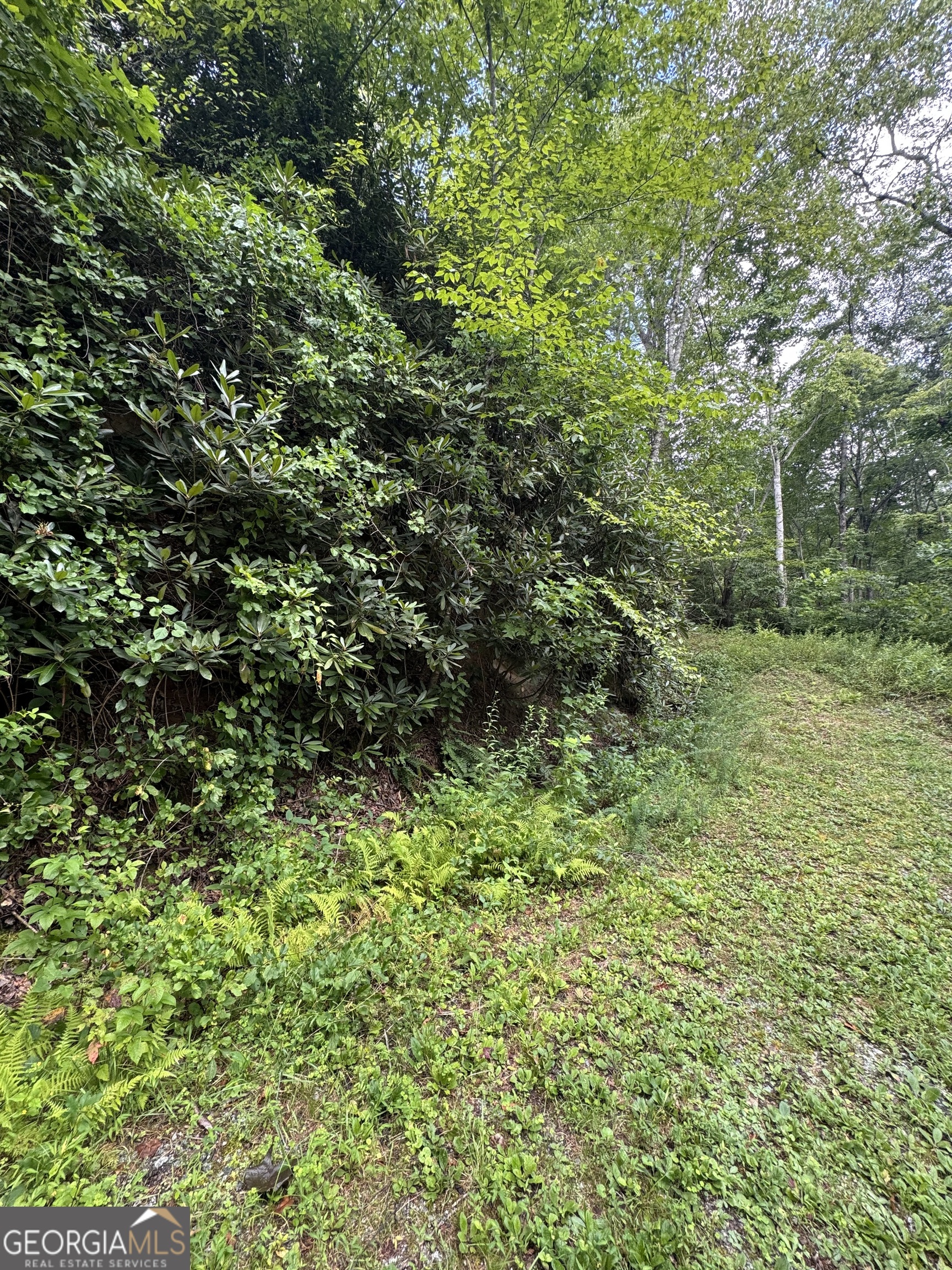 0 CREST LN LOT 5