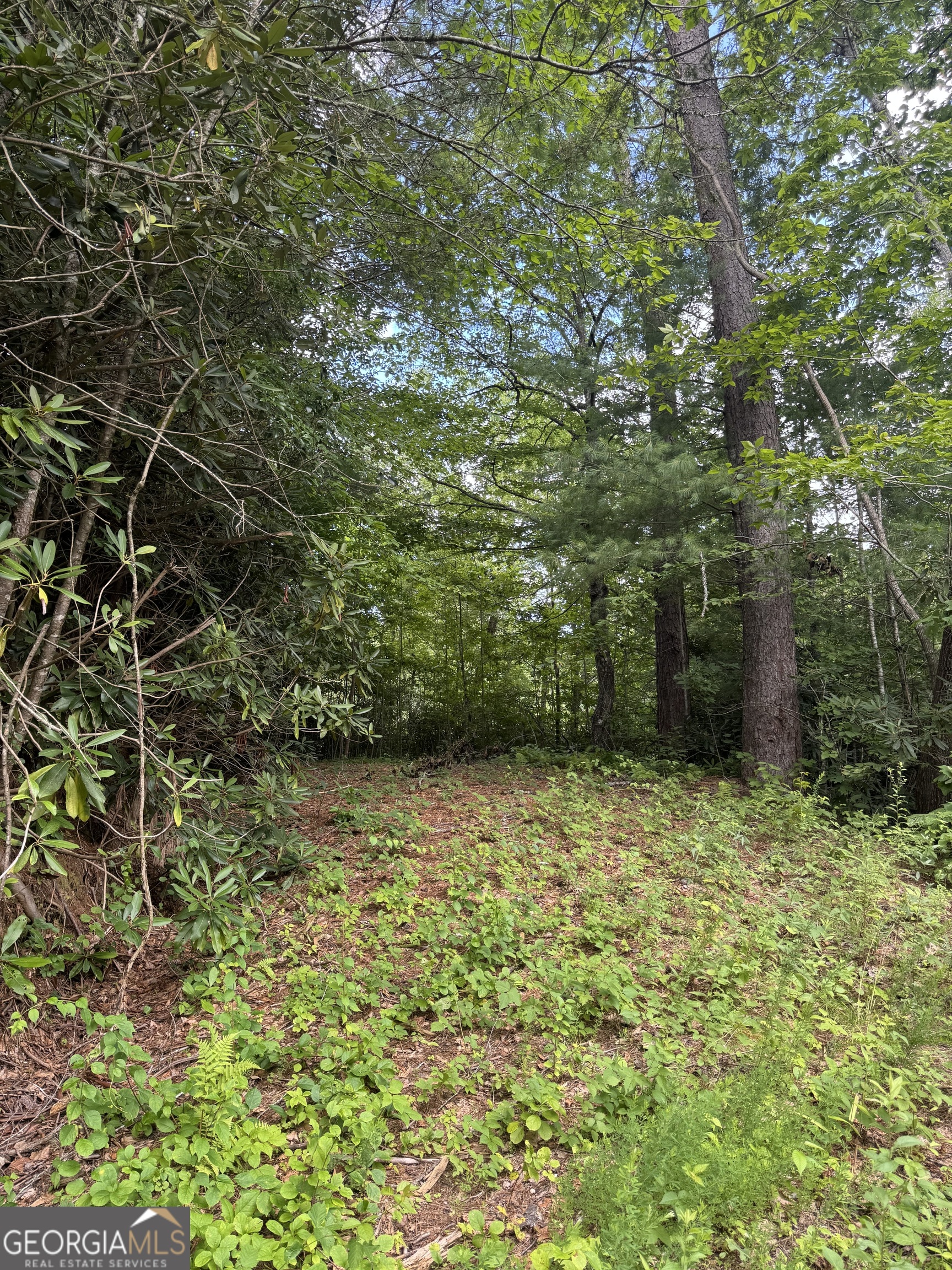 0 CREST LN LOT 5