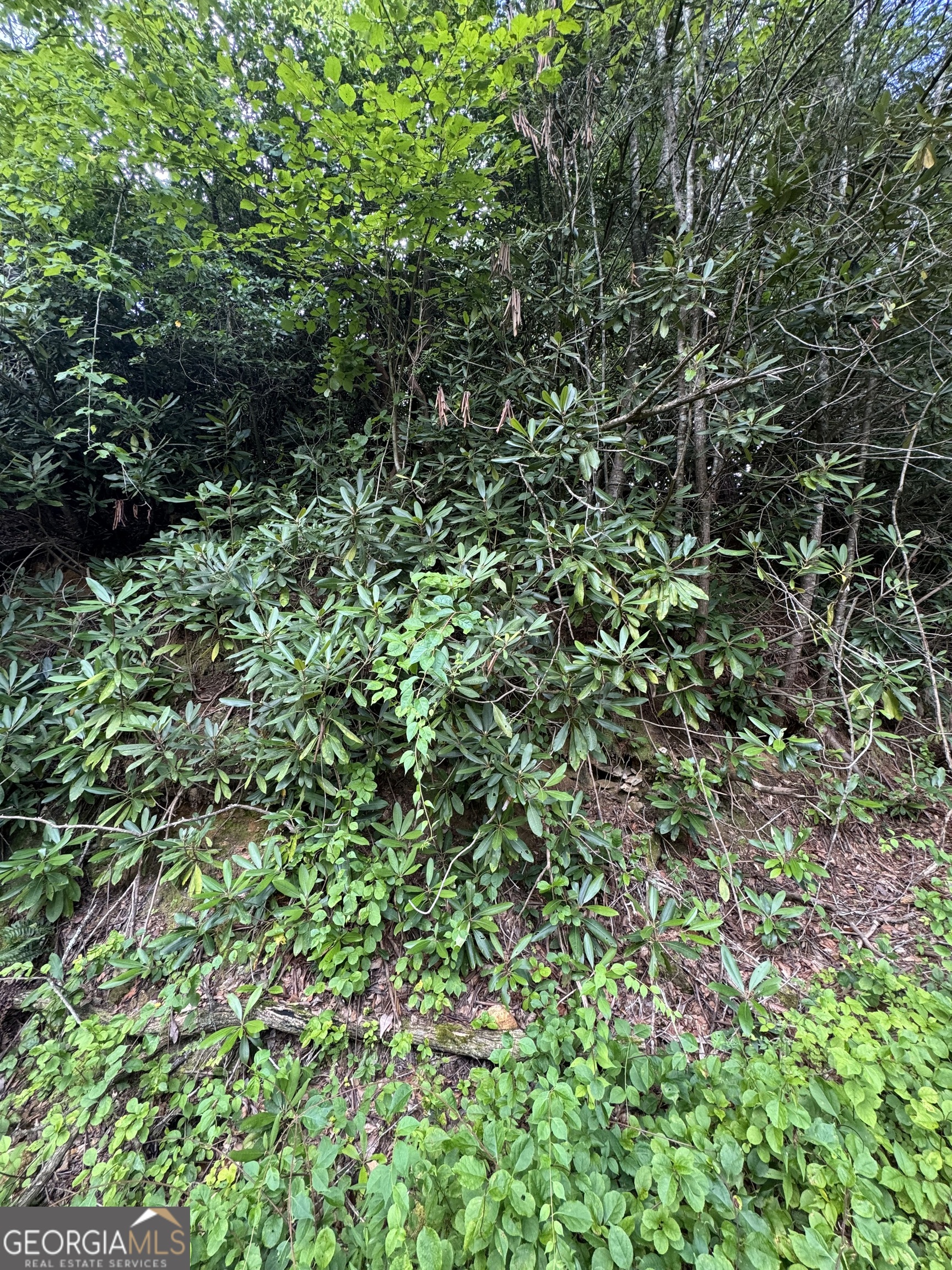 0 CREST LN LOT 5