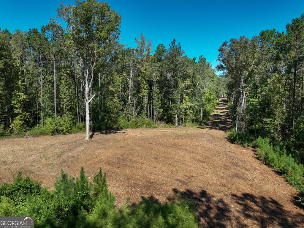 Photo of V/L Buck Run Road, Talbotton, GA 31827 (MLS # 10869717)