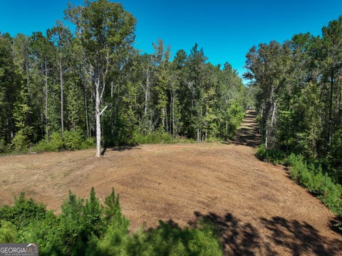 Photo of 0 Buck Run Road, Talbotton, GA 31827 (MLS # 10869717)