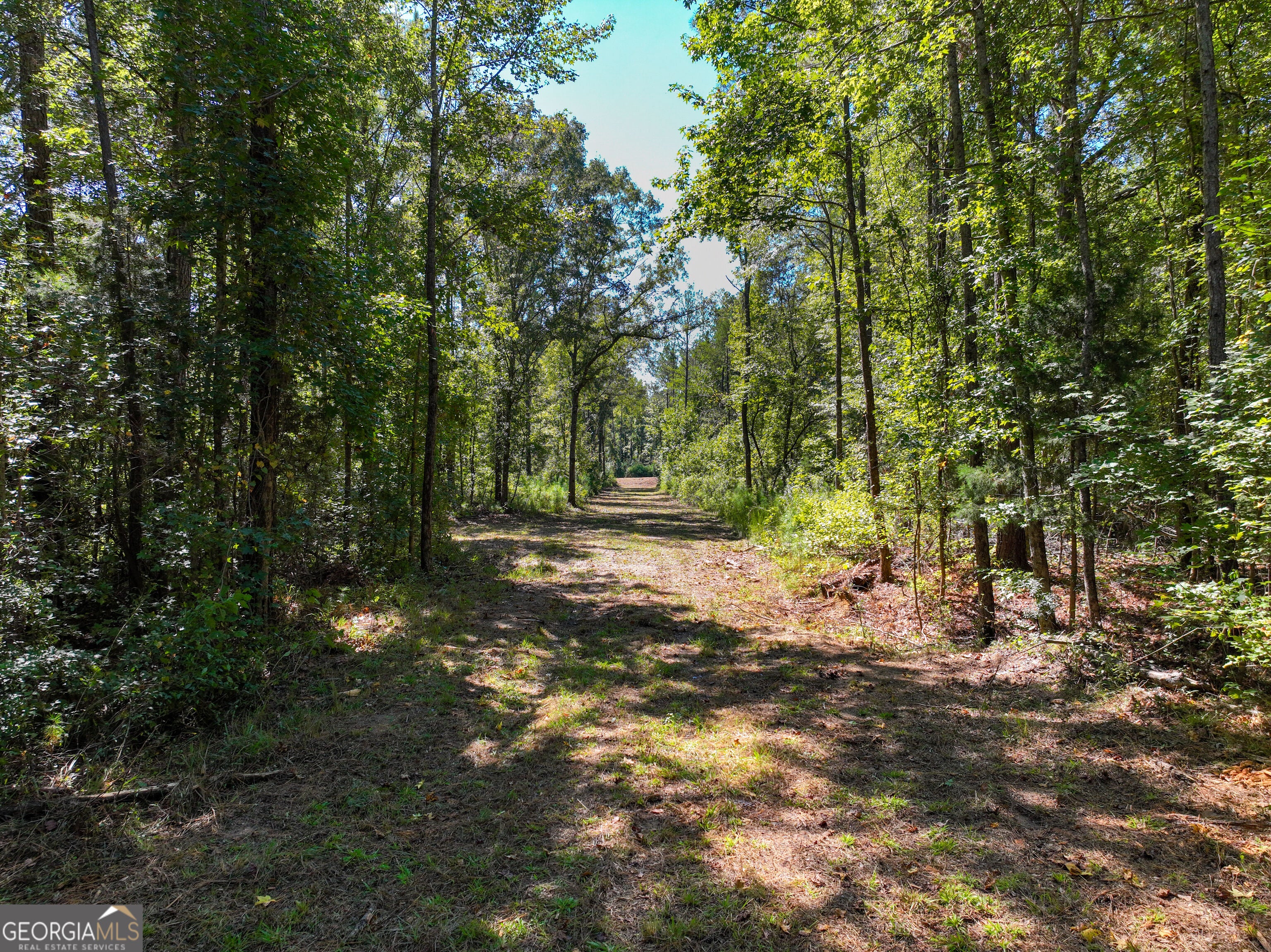 V/L Buck Run RD