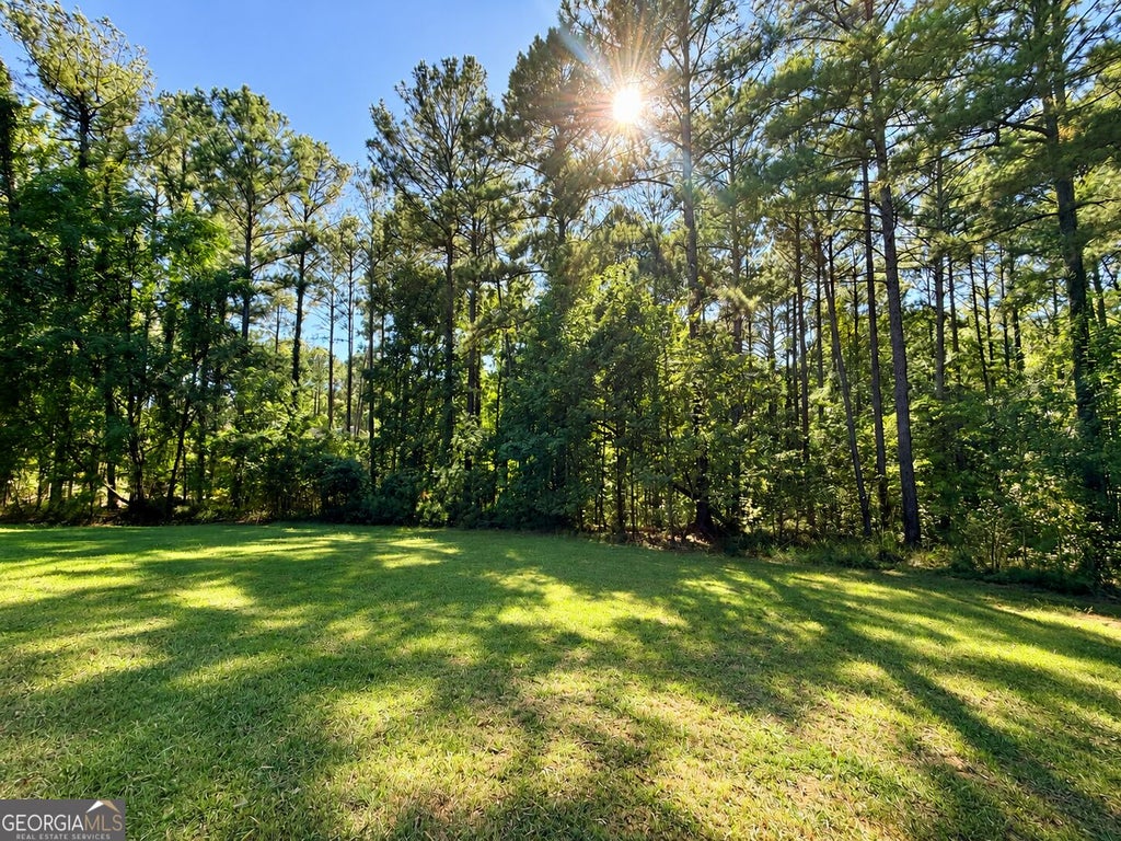 Photo of 1050 Salem Church Way, Greensboro, GA 30642 (MLS # 10854112)