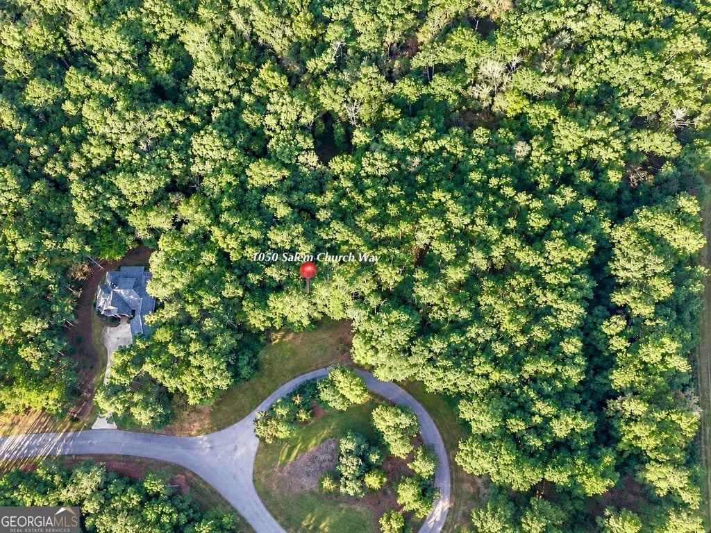 Photo of 1050 Salem Church Way, Greensboro, GA 30642 (MLS # 10854112)