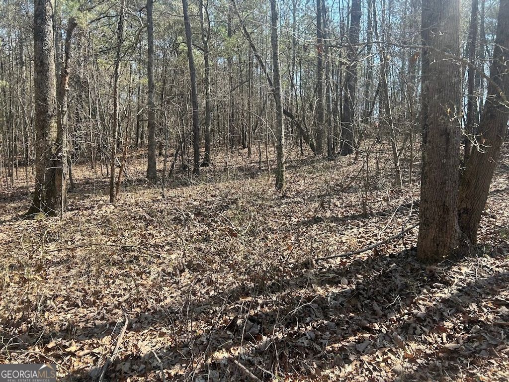 Photo of 1 Clower Drive, Bowdon, GA 30108 (MLS # 10763637)