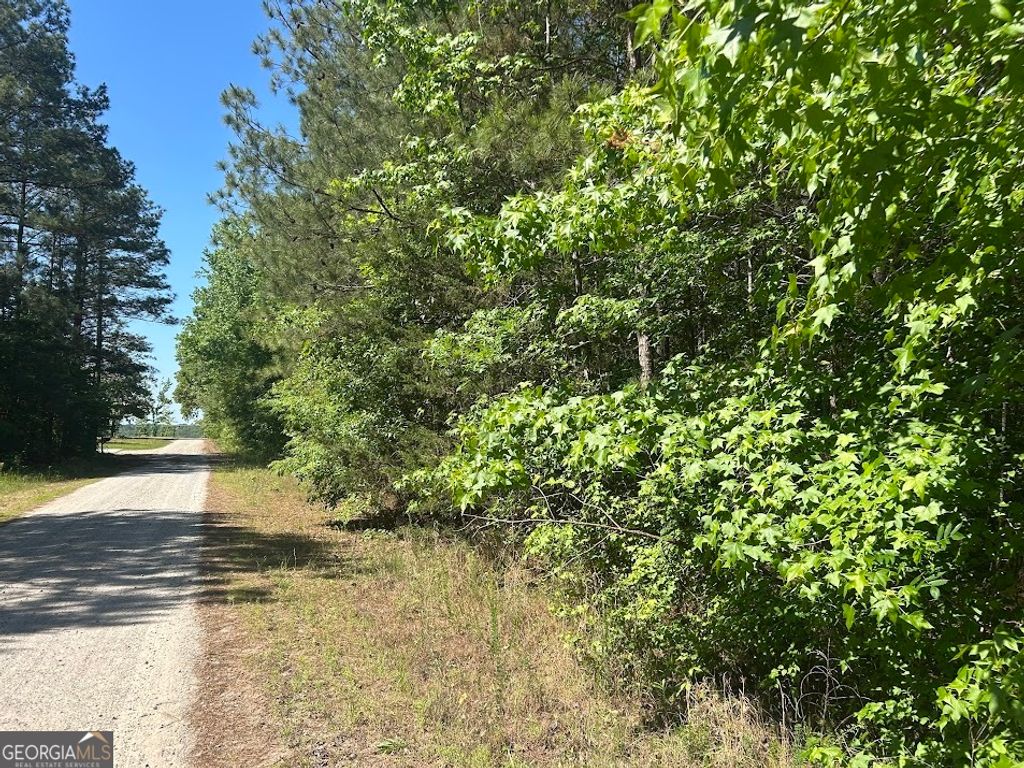 Photo of 1 Clower Drive, Bowdon, GA 30108 (MLS # 10763637)