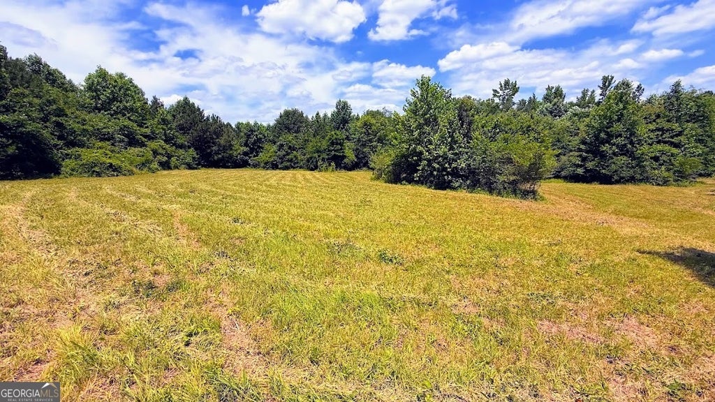 Photo of 0 Nix Road, Bremen, GA 30110 (MLS # 10786017)