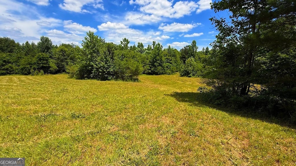 Photo of 0 Nix Road, Bremen, GA 30110 (MLS # 10786017)