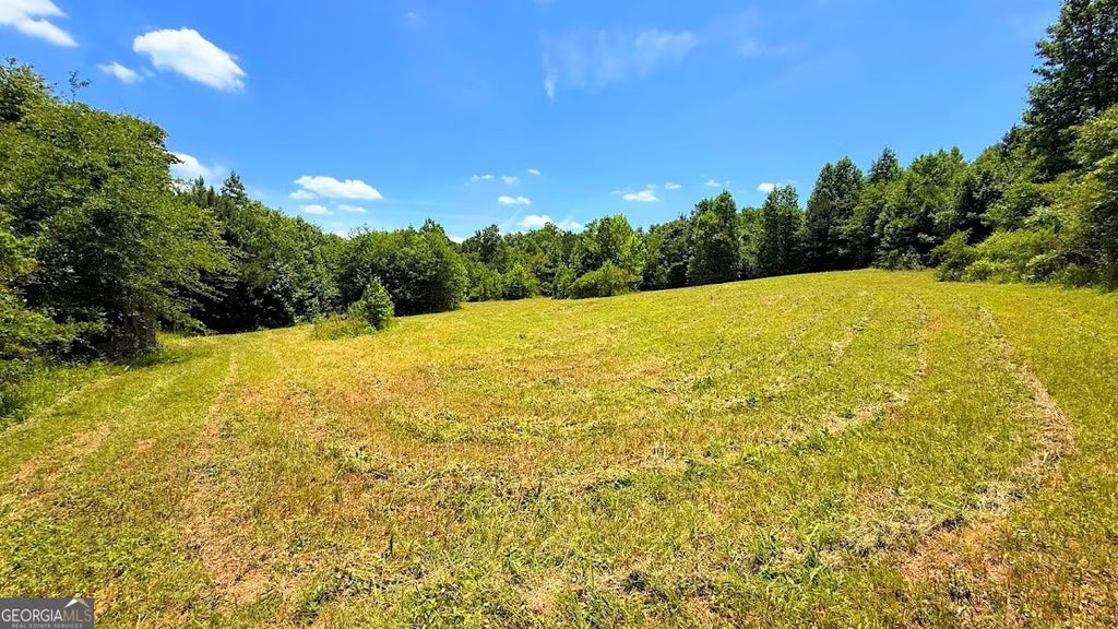Photo of 0 Nix Road, Bremen, GA 30110 (MLS # 10786017)