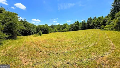 Photo of 0 Nix Road, Bremen, GA 30110 (MLS # 10786017)