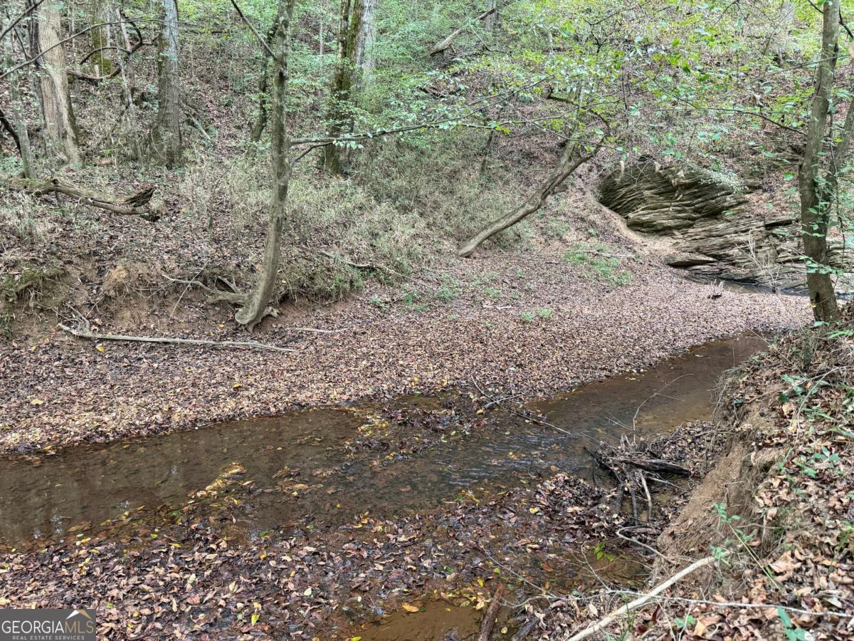 0 County Road 60