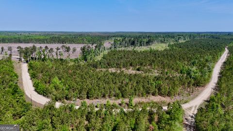 Photo of 0 Tillman Cementery Road, Lumber City, GA 31549 (MLS # 10763007)