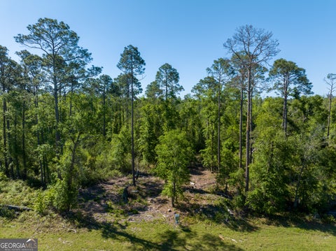 Photo of 0 Knights Academy Road, Valdosta, GA 31605 (MLS # 10803641)