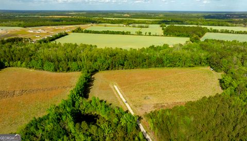 10.6 ACRES Lot 3 - Siesta Lane Statesboro GA 30458