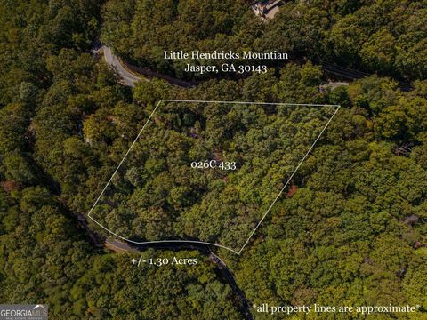 0 Little Hendricks Mountain RD Jasper GA 30143