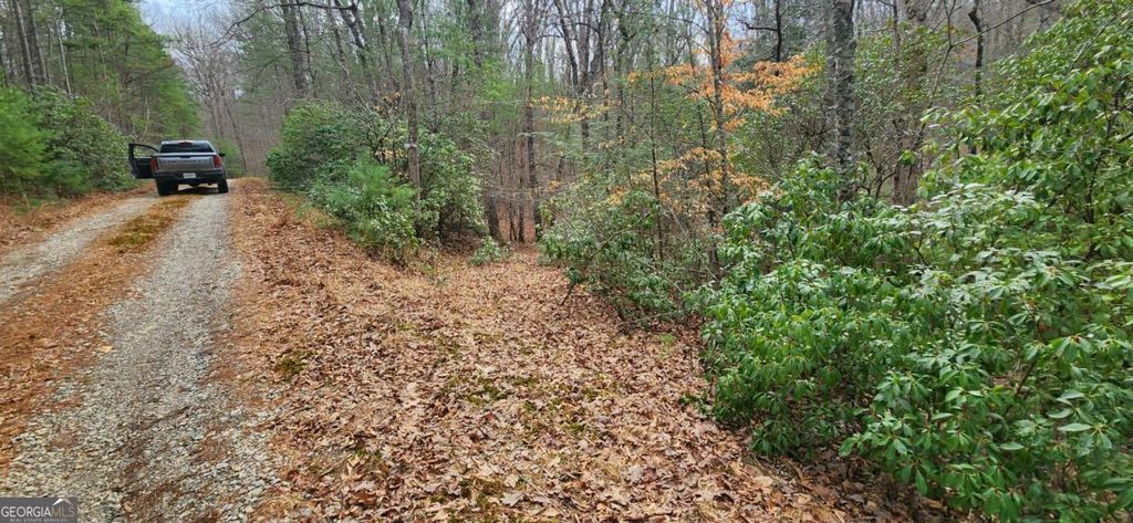 Photo of 18 Gray Fox Trail, Blairsville, GA 30512 (MLS # 10722481)