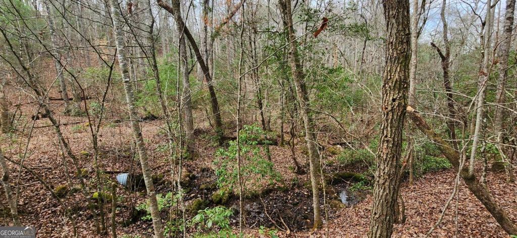 Photo of 18 Gray Fox Trail, Blairsville, GA 30512 (MLS # 10722481)