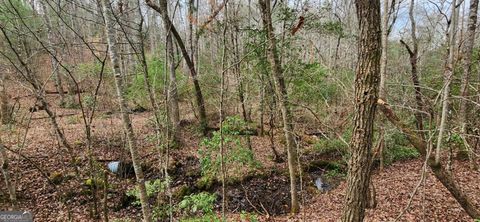 LOT 18 Gray Fox TRL Blairsville GA 30512