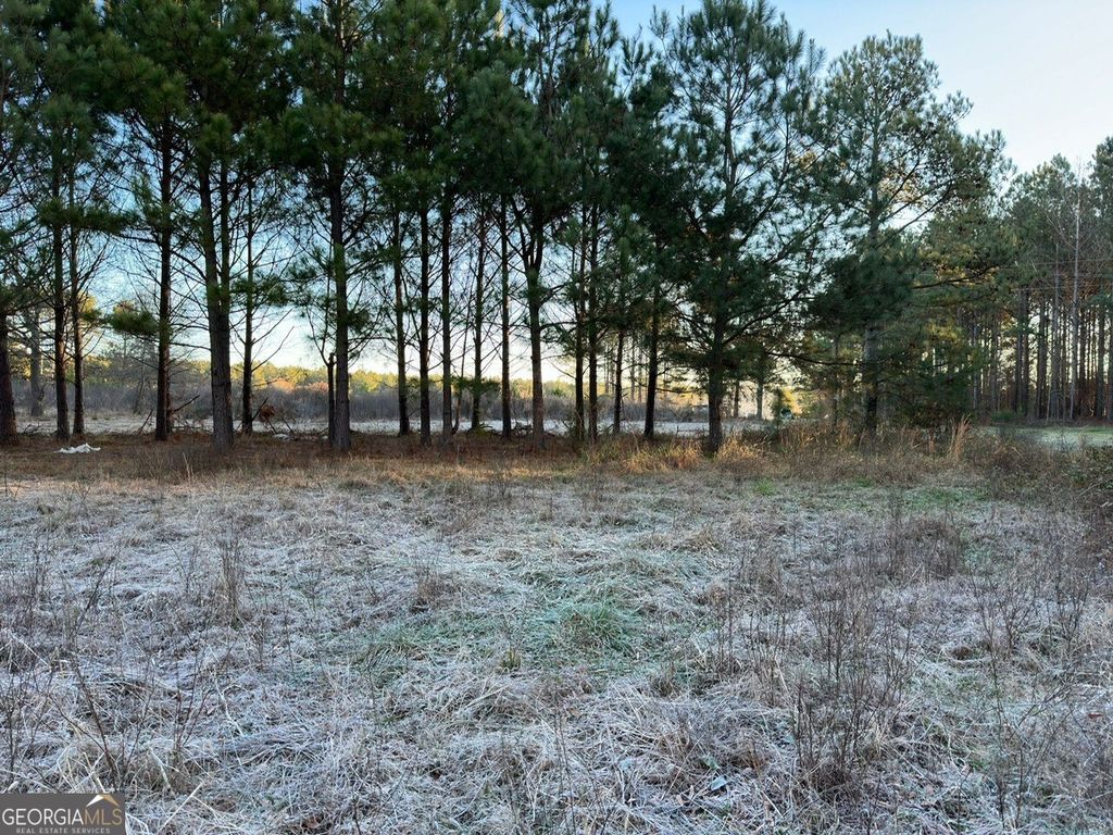 Photo of 0 Sandy Cross Road, Lexington, GA 30648 (MLS # 10633224)