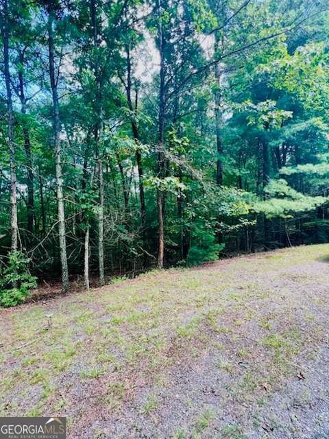 Build your dream home on this beautiful 1.69-acre buildable lot in the sought-after Mountain Meadows community of Ellijay. Surrounded by mature hardwoods and natural beauty, this property offers privacy, paved road access, and multiple possibilities for your mountain retreat or investment. Conveniently located near downtown Ellijay with easy access to shopping, dining, wineries, orchards, hiking trails, and year-round outdoor adventures. A perfect blend of seclusion and accessibility in North Georgia's mountain country.