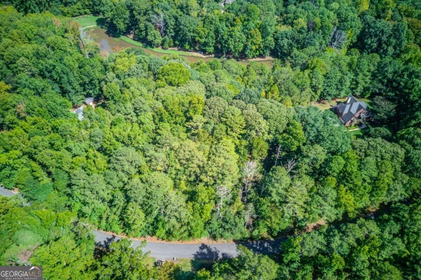 211 BUCK TRL, HOSCHTON, GA 30548 - Image b8a53c74a11efbfaa33a4fc100ca914d/2248126264