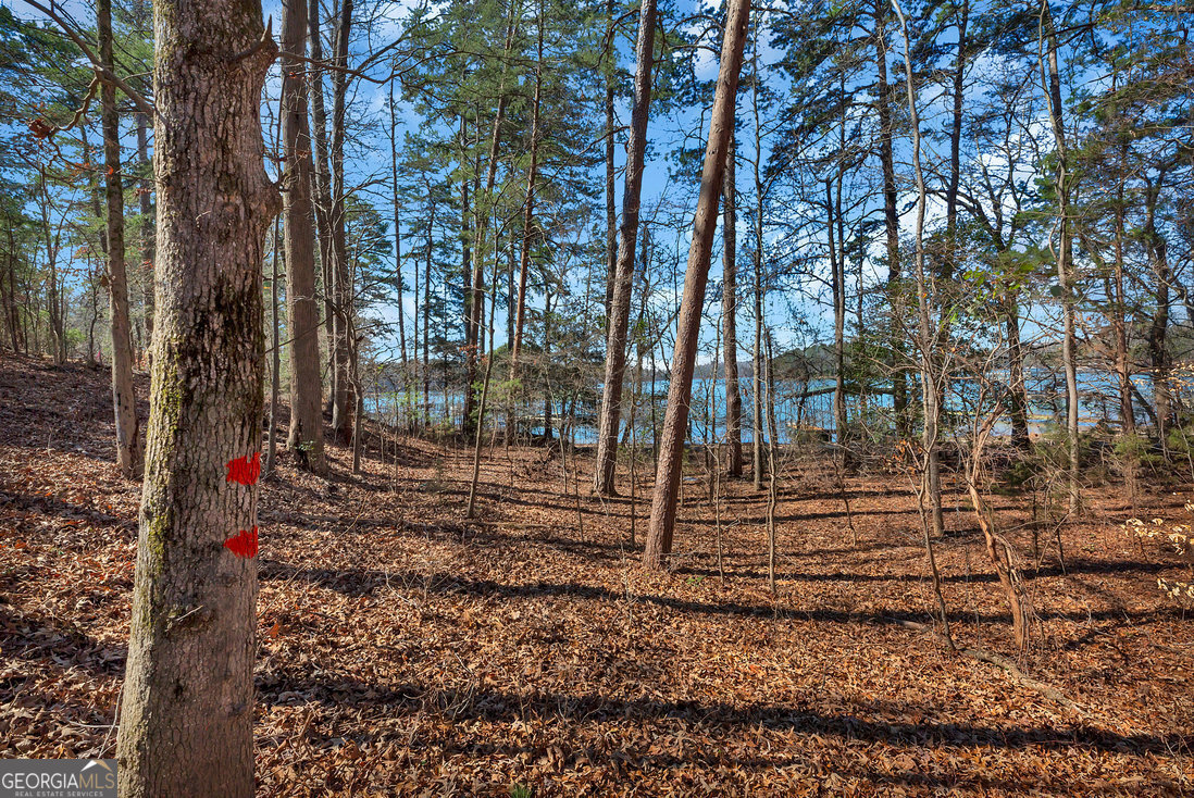 0 Overlook DR LOT 14