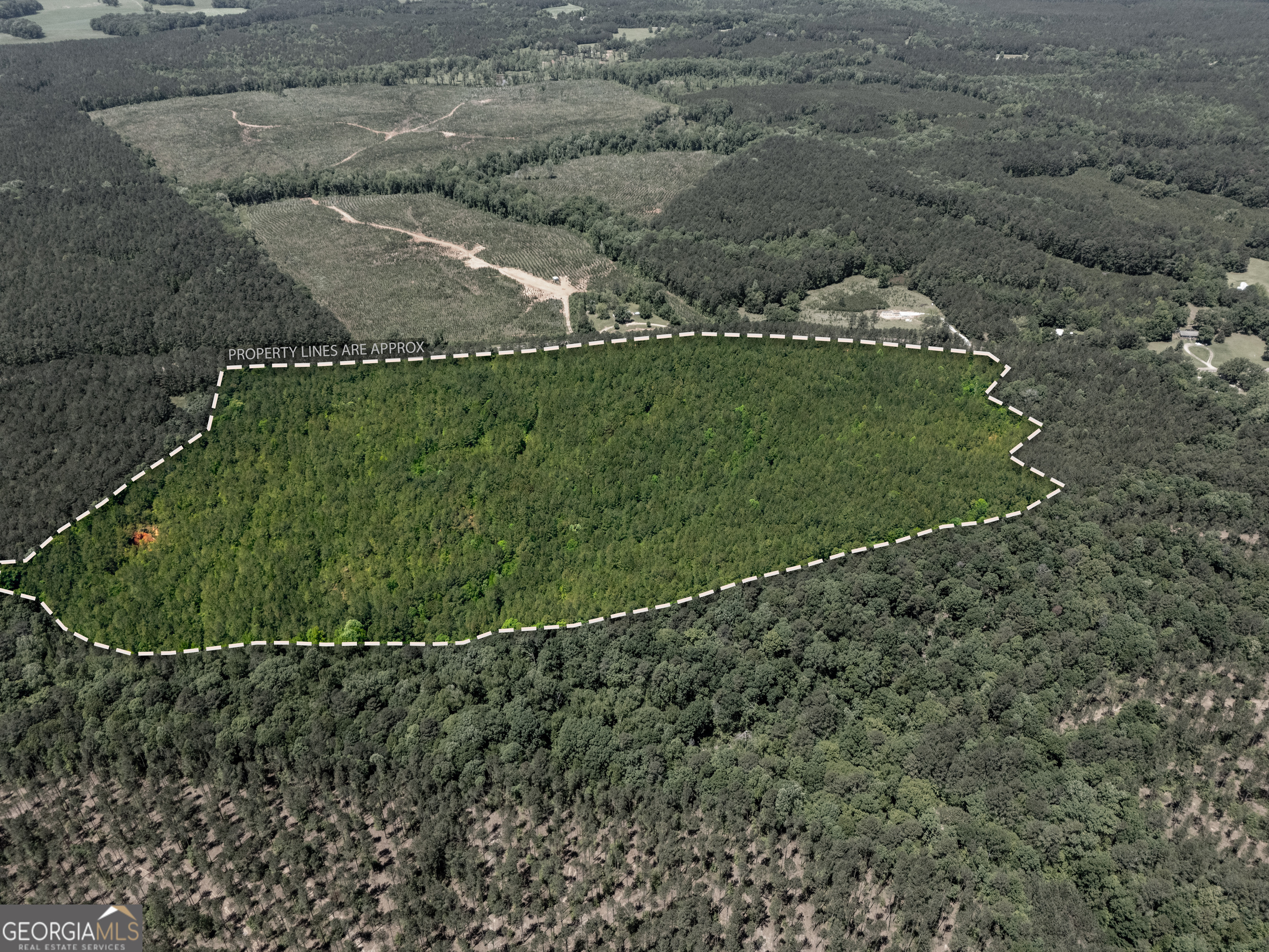 Listing image 4