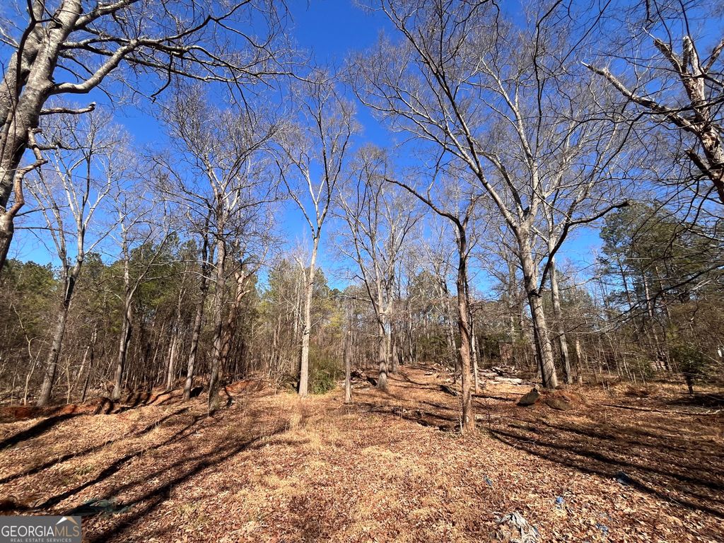 Photo of 55 Key Road, Ellenwood, GA 30294 (MLS # 10691995)