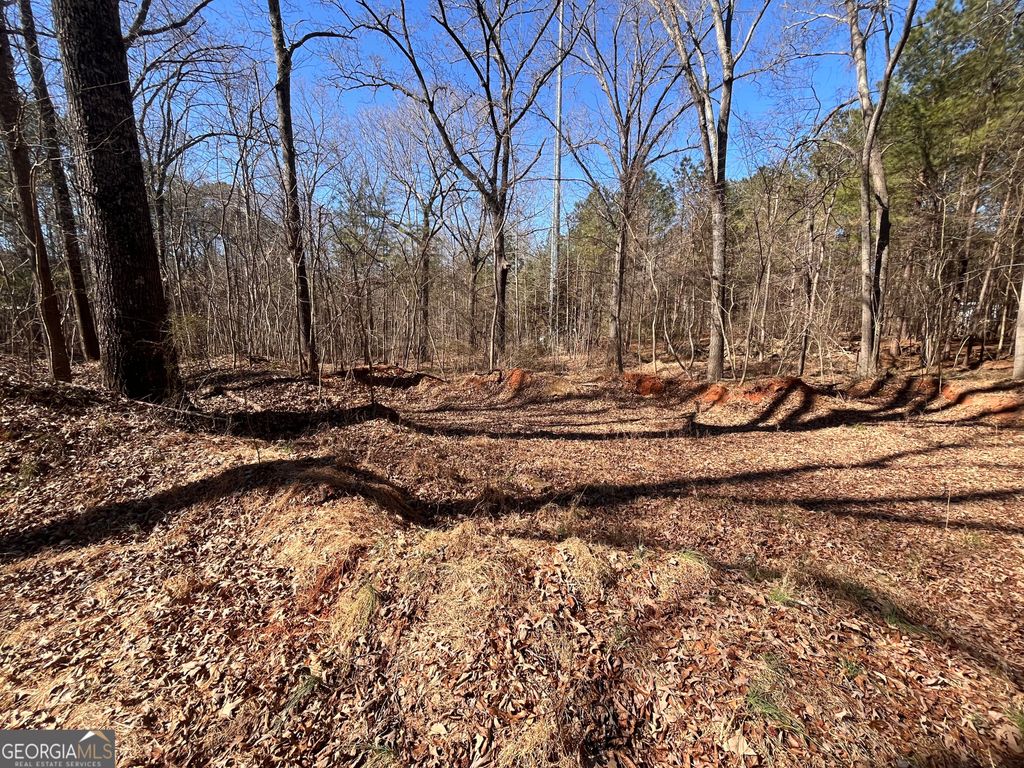 Photo of 55 Key Road, Ellenwood, GA 30294 (MLS # 10691995)