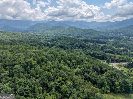 TEAKS DR, HAYESVILLE, NC 28904 - Image b8c9cb4b05b7df0cca81ad9f71898d22/2536070750